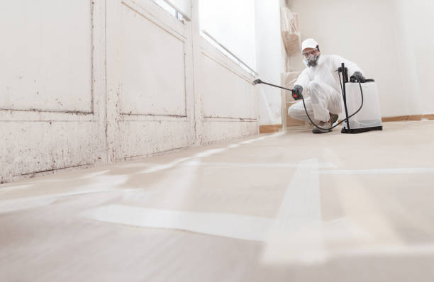 24/7 Emergency Attic Mold Removal experts in Garwood, NJ